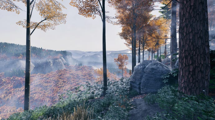 A cloudy view through trees at a forested valley in Prologue: Go Wayback!