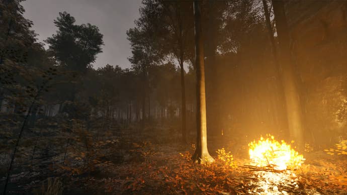 A fire lit between trees at night in Prologue: Go Wayback!