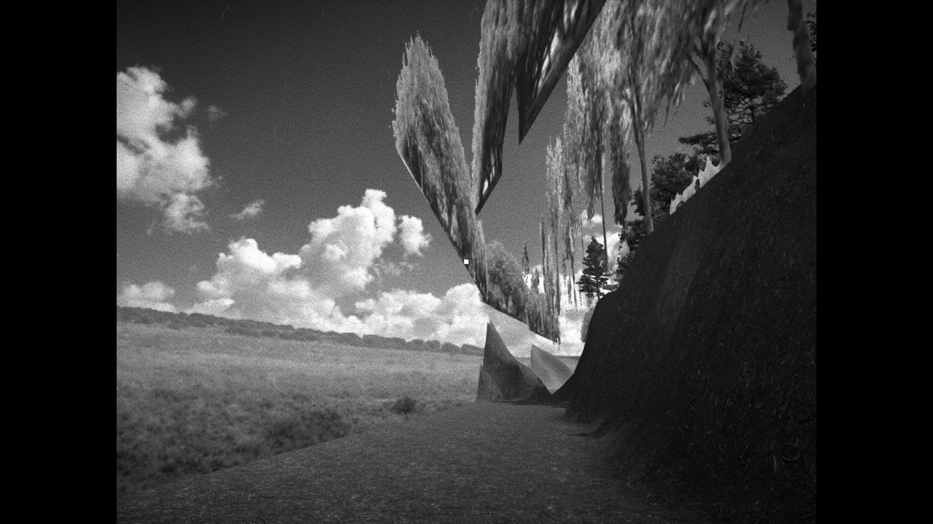 Jagged 2D representations of vegetation floating above the player in an off-map screenshot from Horses. - 5