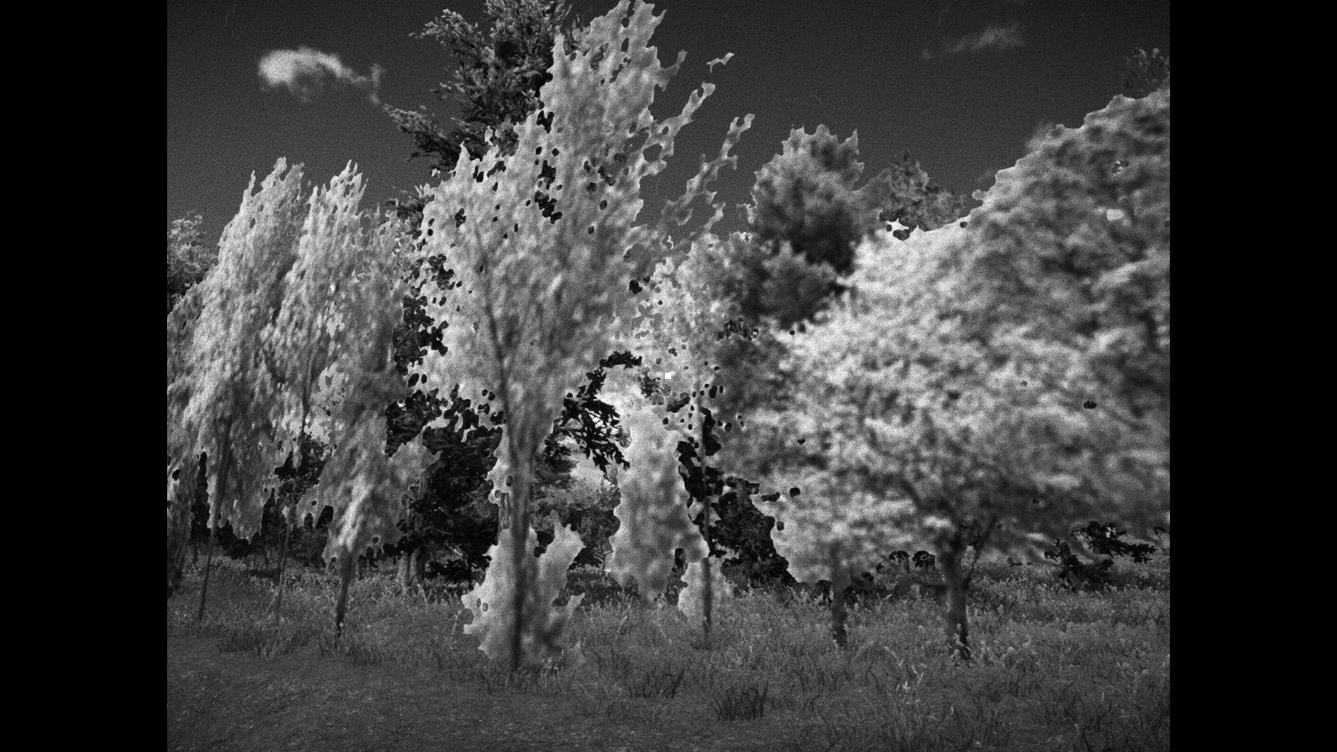 Close-ups of pixelated trees in an off-map image from Horses.