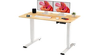 sanodesk qs+ 110x60cm electric standing desk