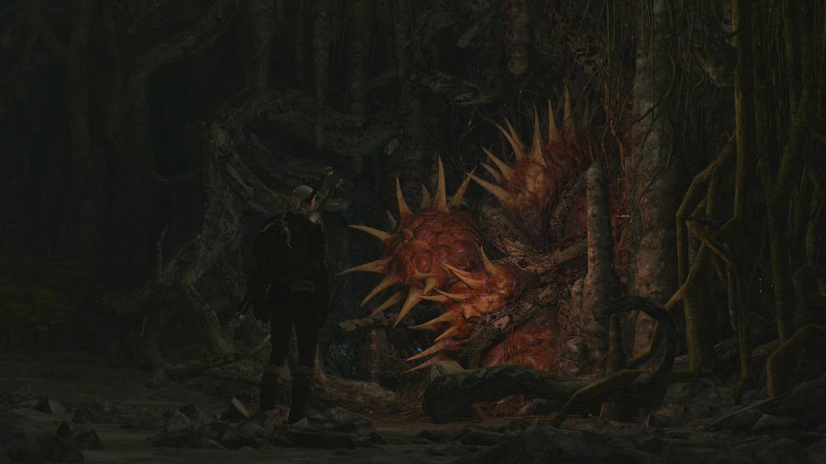 The Witcher 3 Herrinnen Des Waldes Geist Im Baum