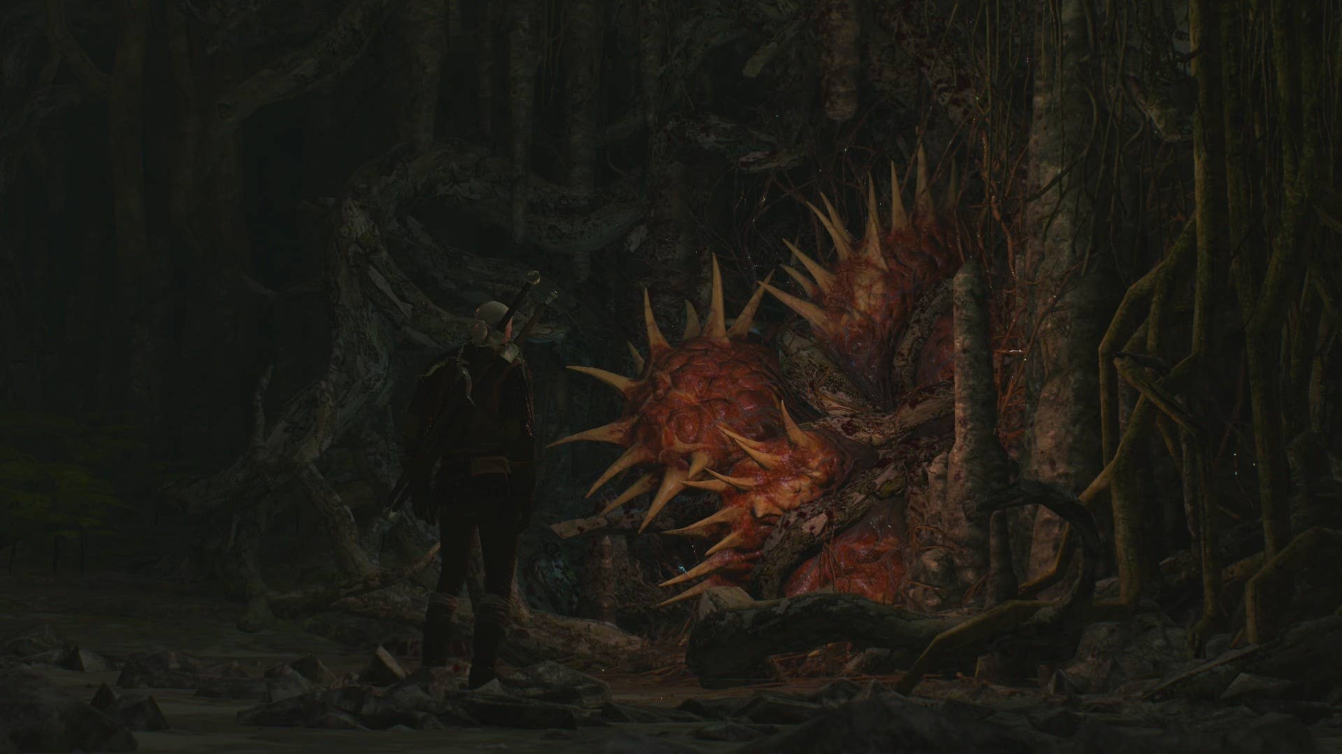The Witcher 3 Herrinnen Des Waldes Geist Im Baum