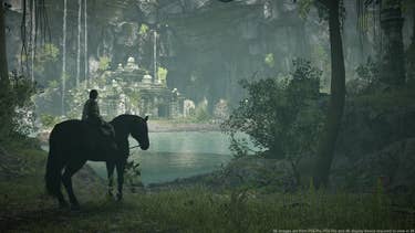 Shadow of the Colossus PS4: Complete Tech Analysis