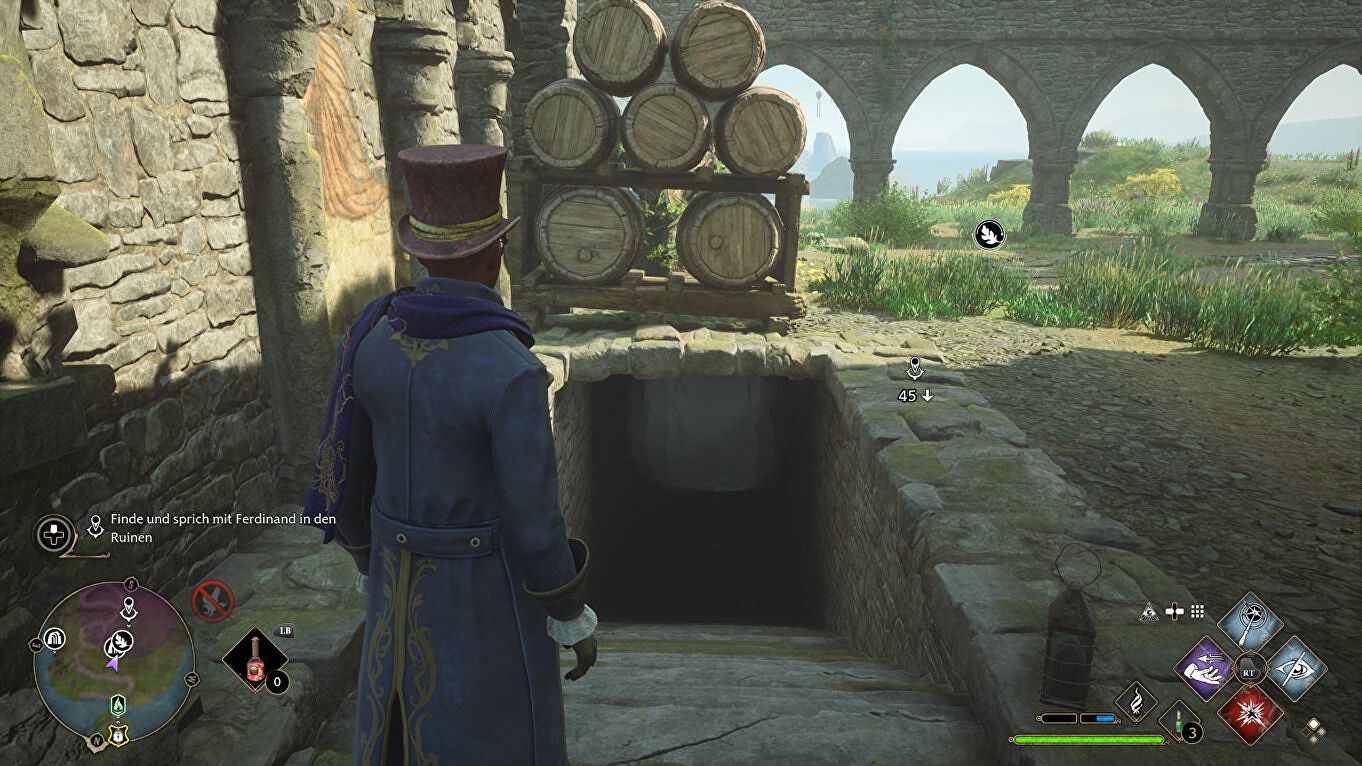 Hogwarts Legacy: Portrait In A Pickle uitgelegd en Ferdinands portret vinden