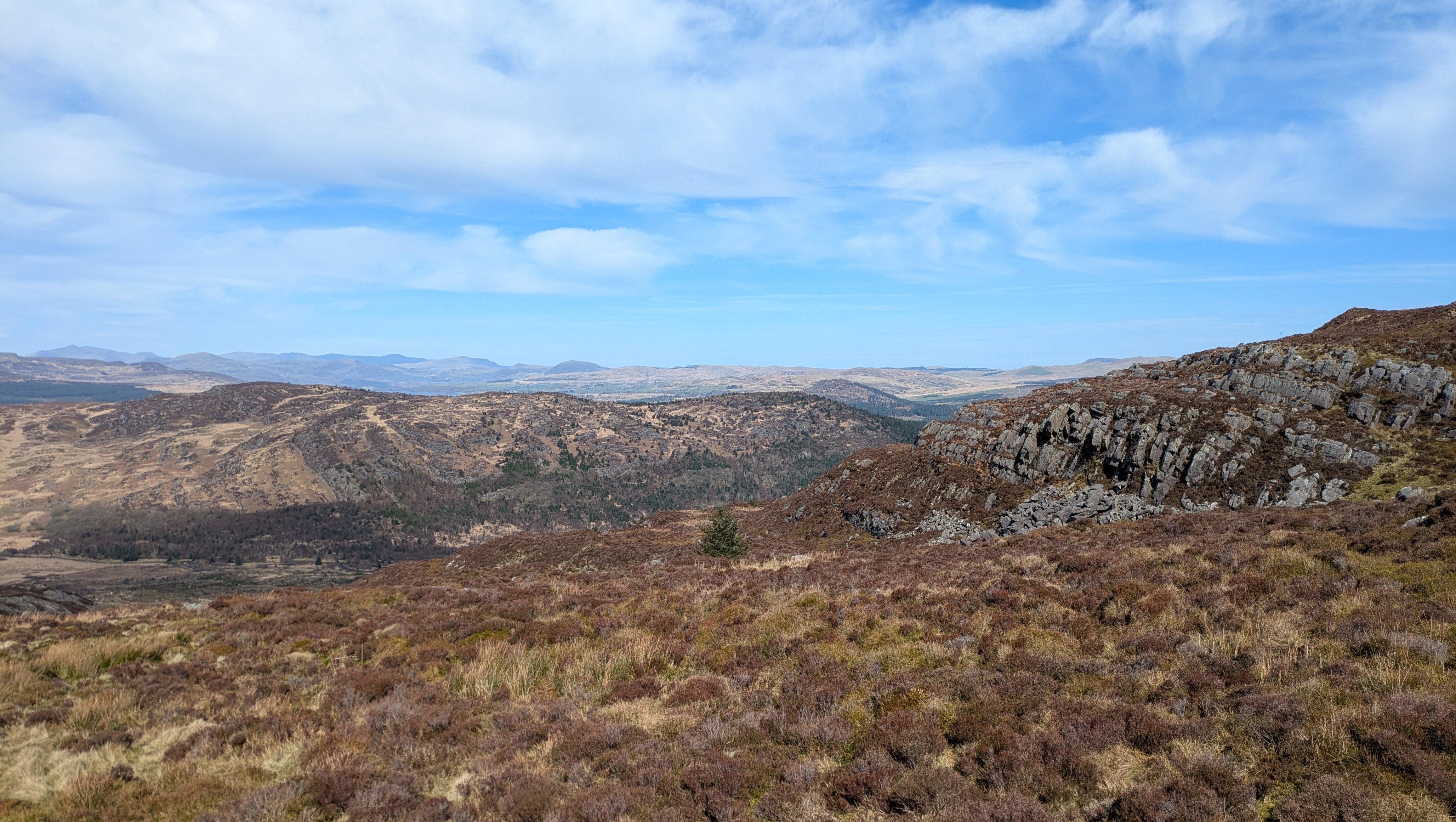 A view down a mountainside at open moor, boulders and heather with a forest in the distance, from a walk in Wales.
