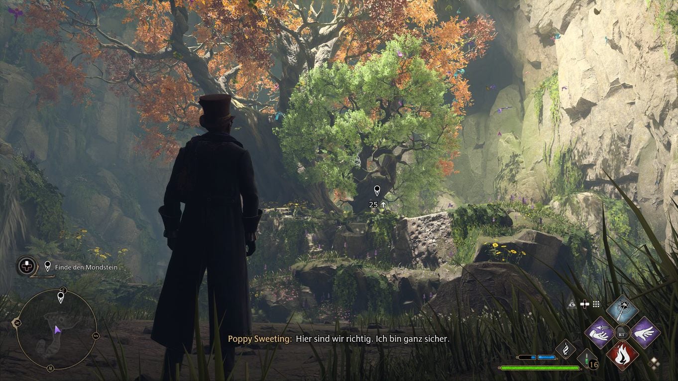 Hogwarts Legacy Der Zentaur und der Stein Mondstein finden und die Motten in der Höhle