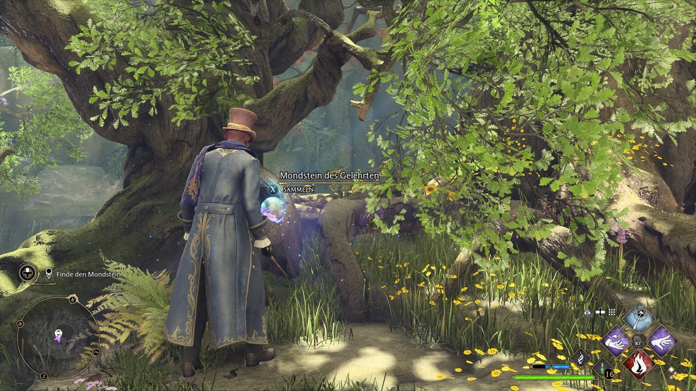 Hogwarts Legacy Der Zentaur und der Stein Mondstein finden und die Motten in der Höhle