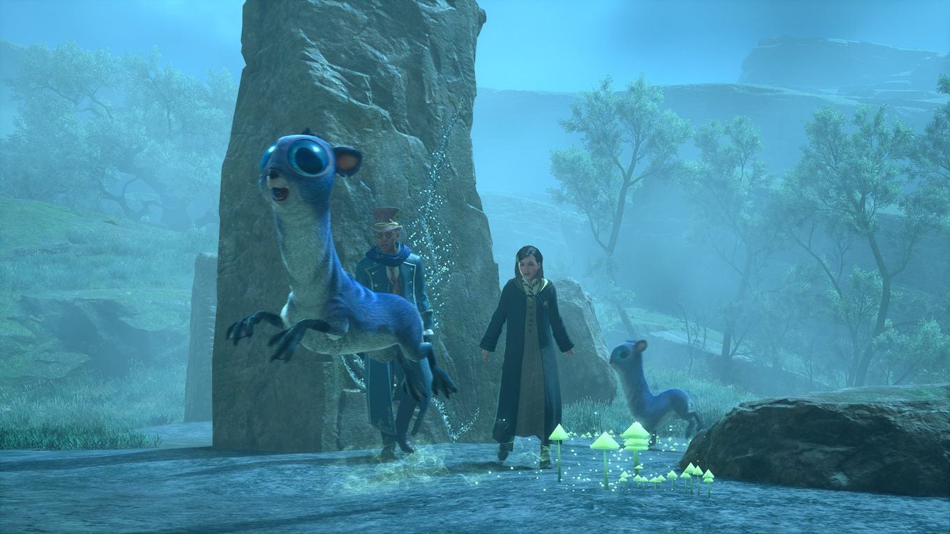 Hogwarts Legacy Der Zentaur und der Stein Mondstein finden und die Motten in der Höhle