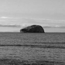 Alice O'Connor avatar - 2