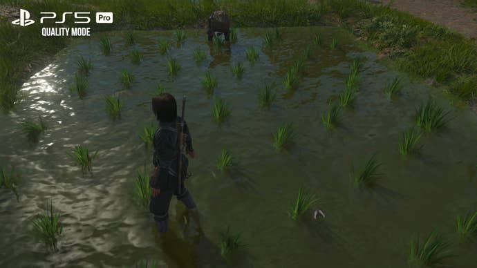 AC Shadows PS5 Pro screenshot: character disappears in a reflection when out of screen-space