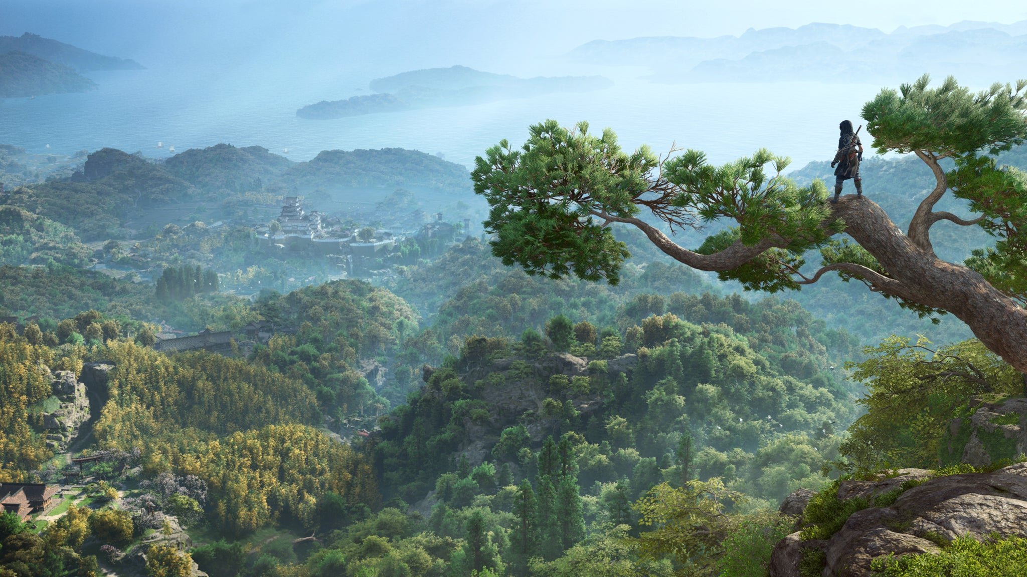 Japan in Summer in Assassin's Creed Shadows; rich greens, blue skies, thick flora. - 4