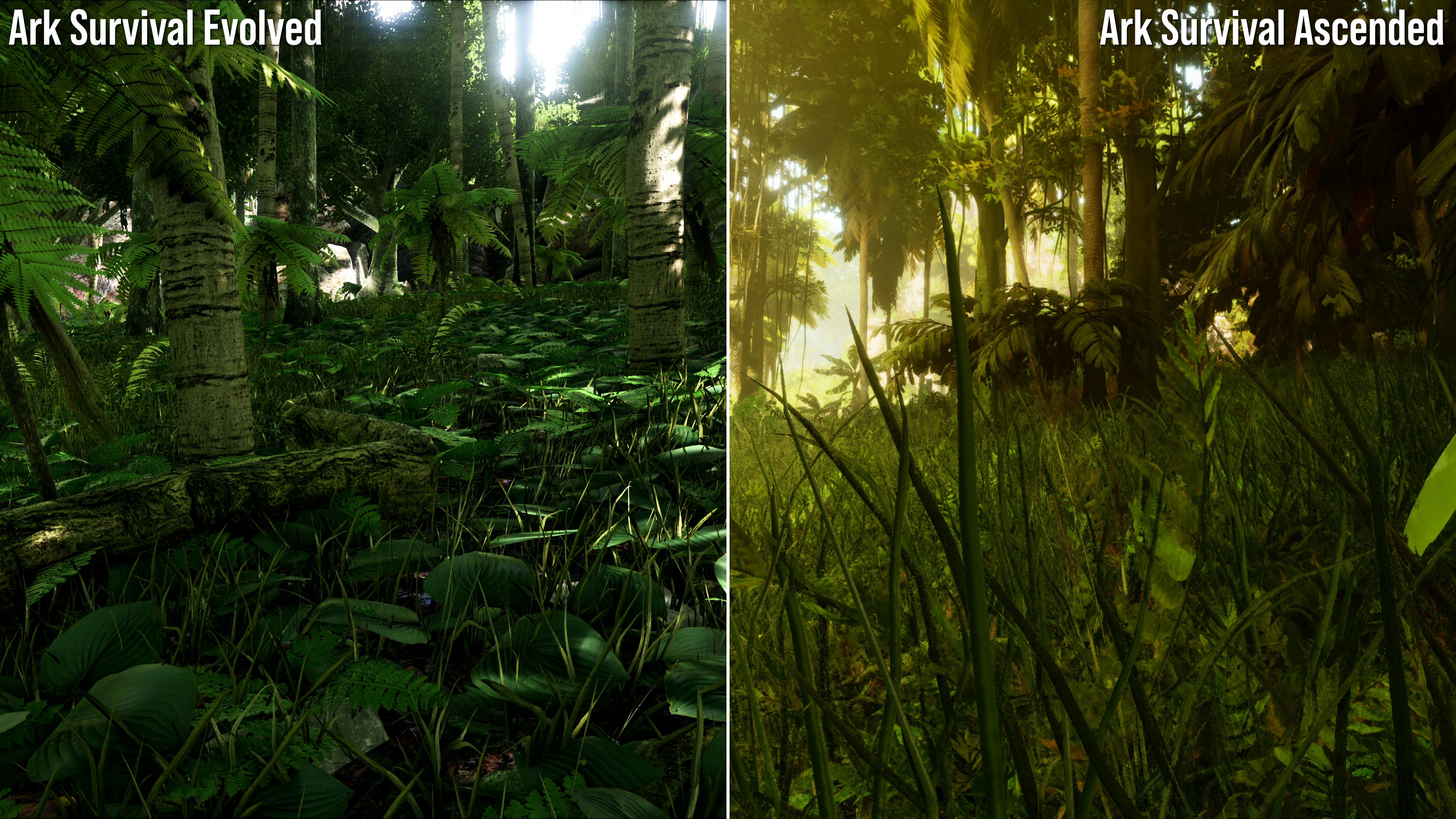 comparison shot of ark survival ascended vs ark survival evolved