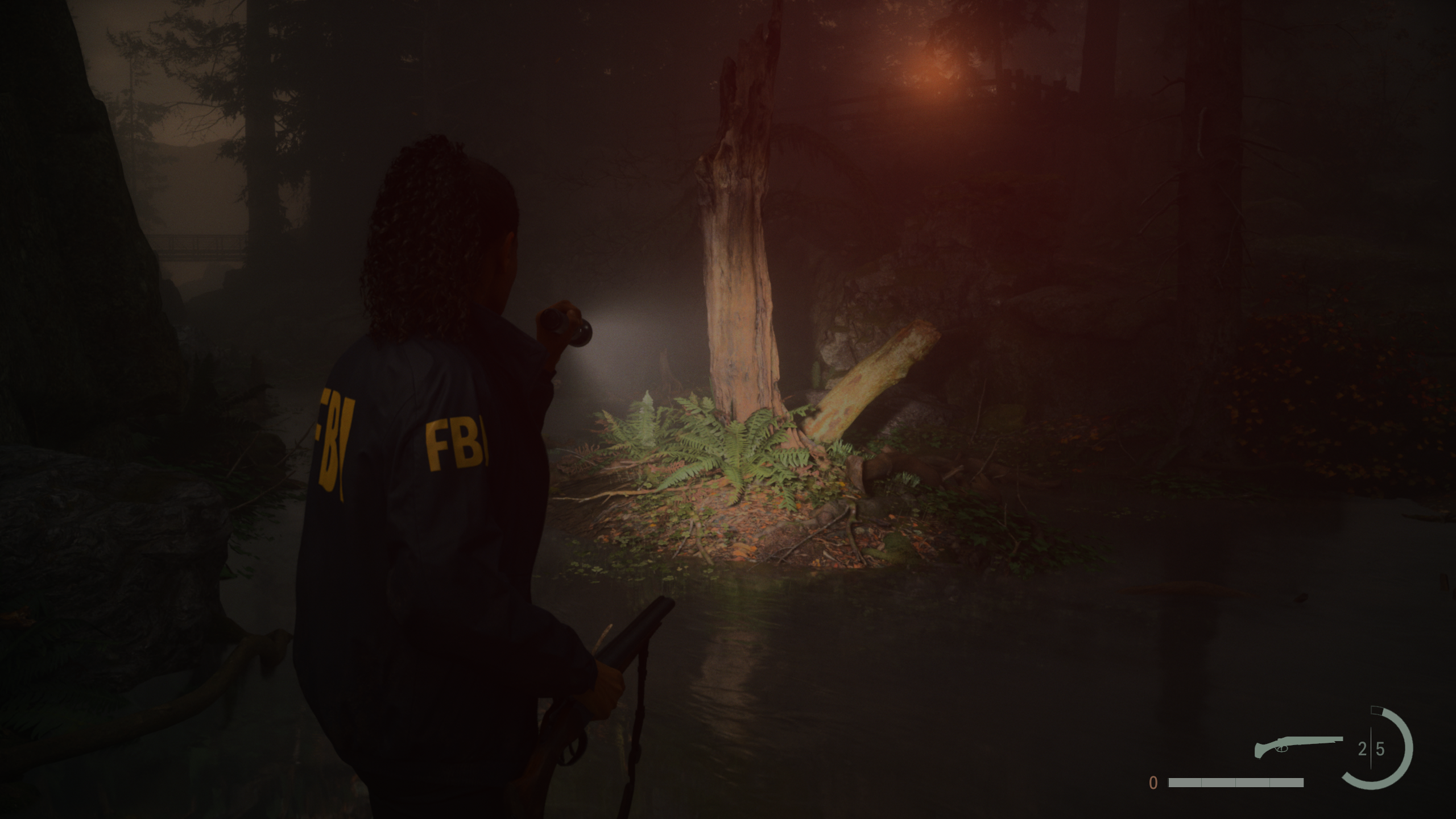 A dark forest scene in Alan Wake 2, with ray tracing switched off.