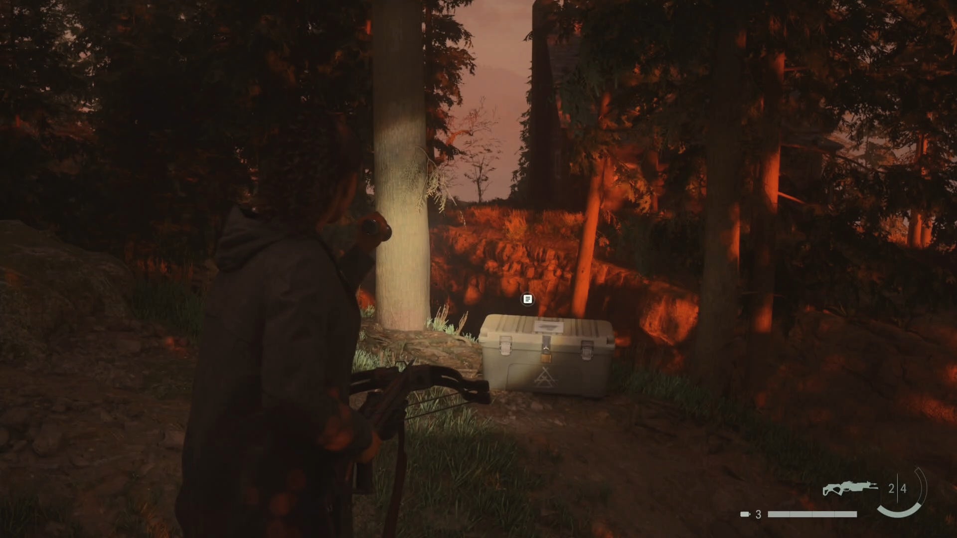 saga shining her flashlight on a cult stash by a tree in the woods