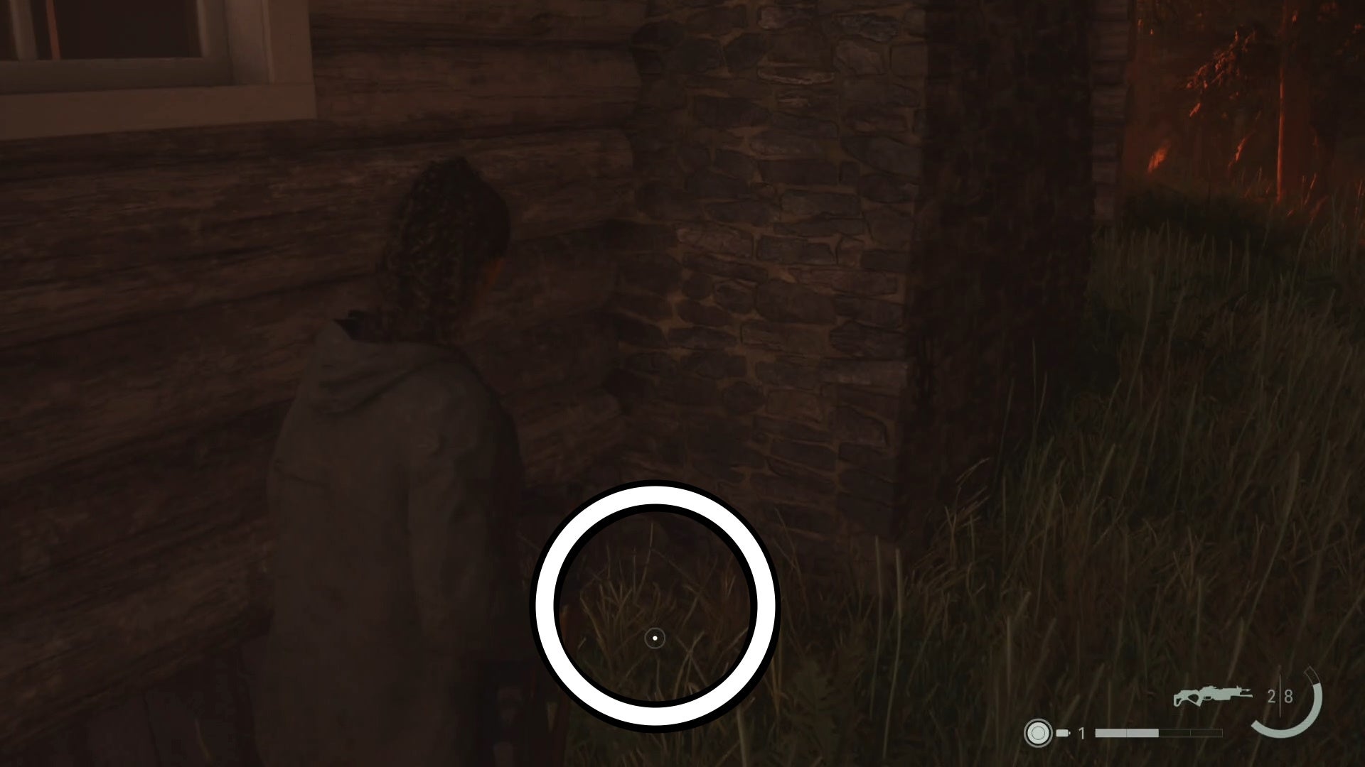 saga looking at a key on the ground in the woods, near lots of trees