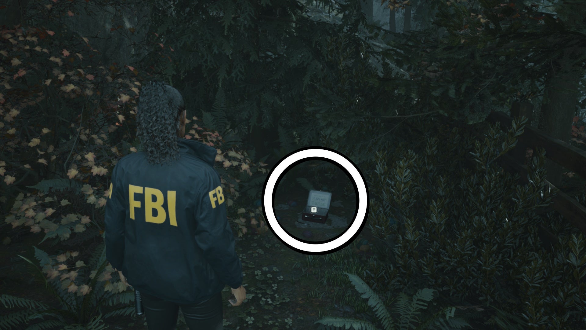 saga looking at a lunch box on a forest floor