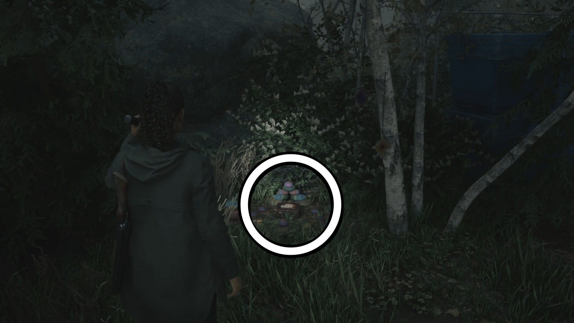 saga shining her flashlight on a lunch box beside a tree in a forest