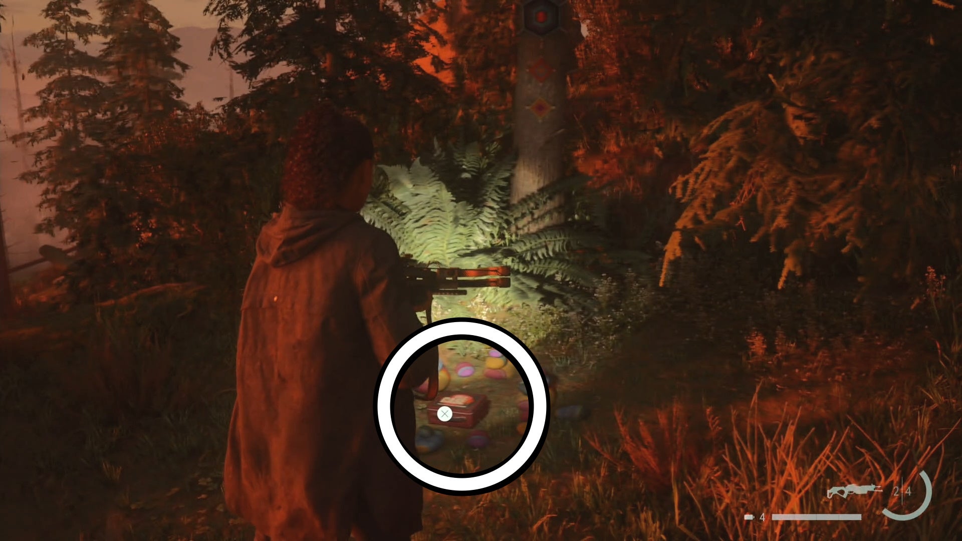 saga shining her flashlight on a lunch box below a tree in a forest