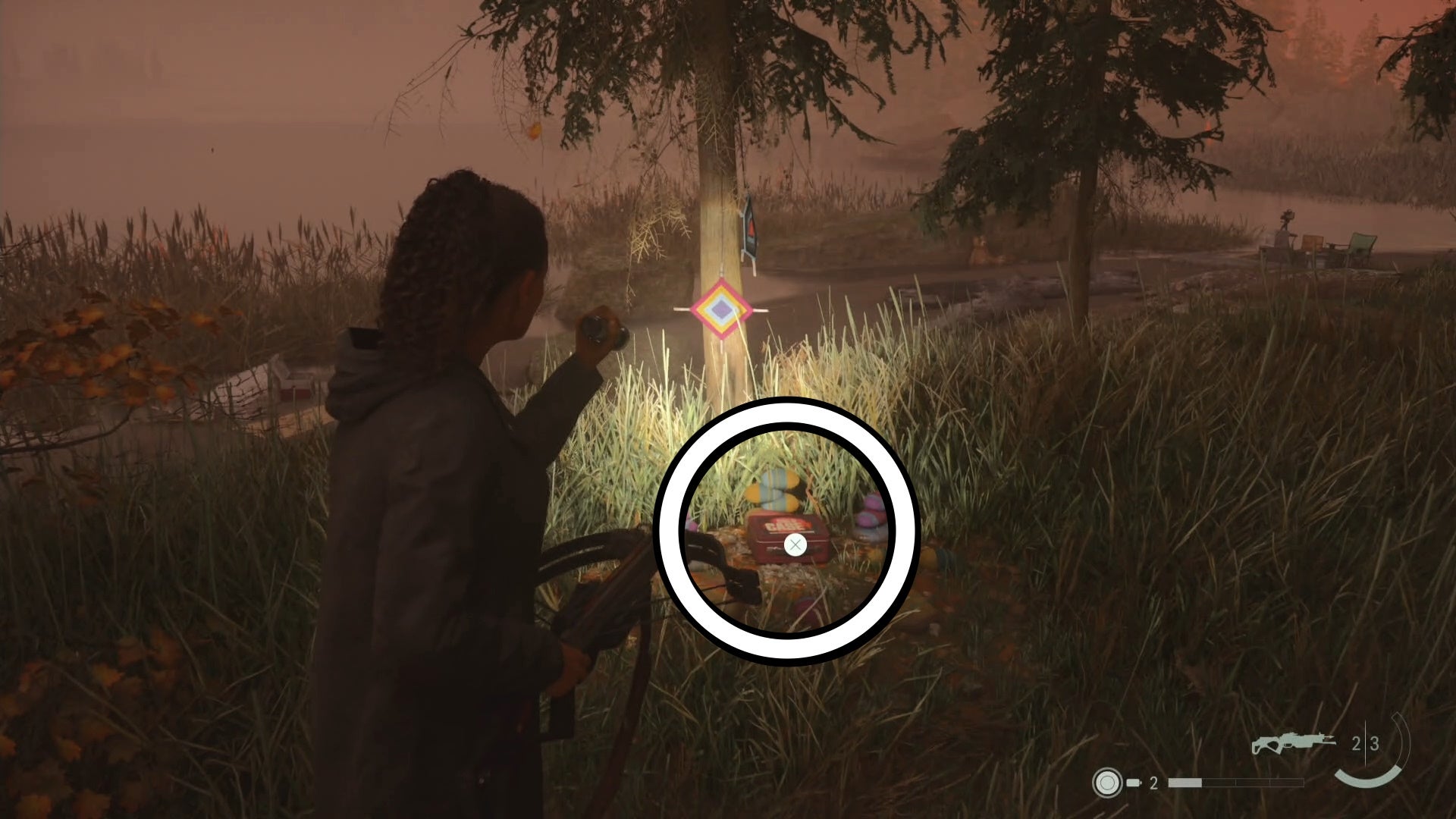 saga shining her flashlight on a lunch box below a small tree in a forest, near the coastline