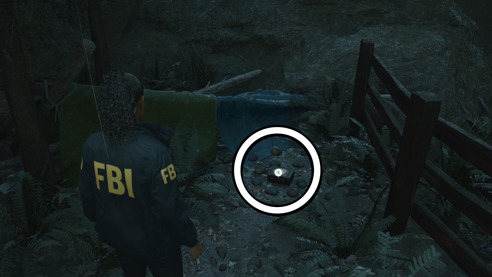 saga looking at a lunch box beside tarp on a fallen tree, on a forest floor