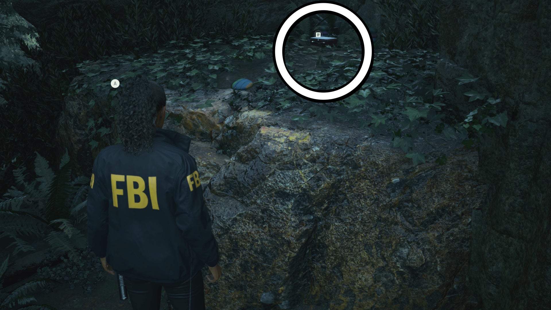 saga looking at a lunch box on top of a small ledge in a forest