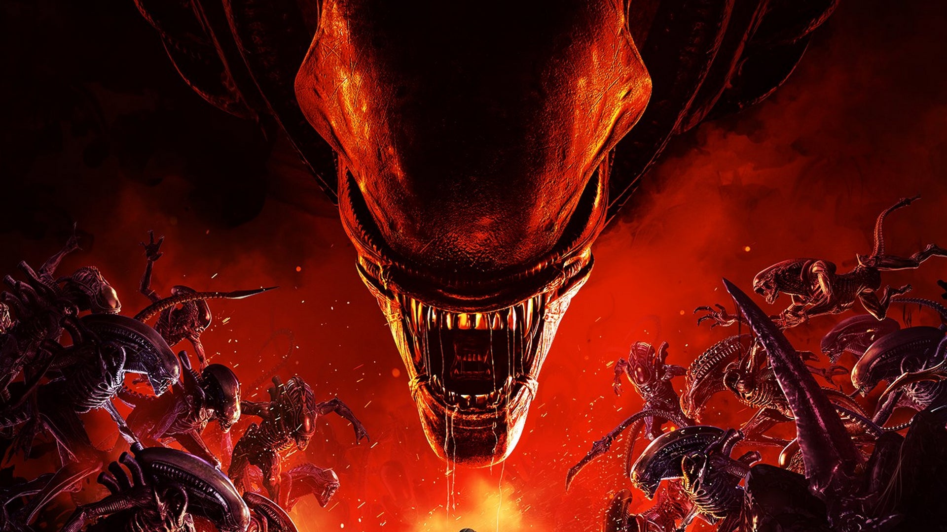 www.eurogamer.de