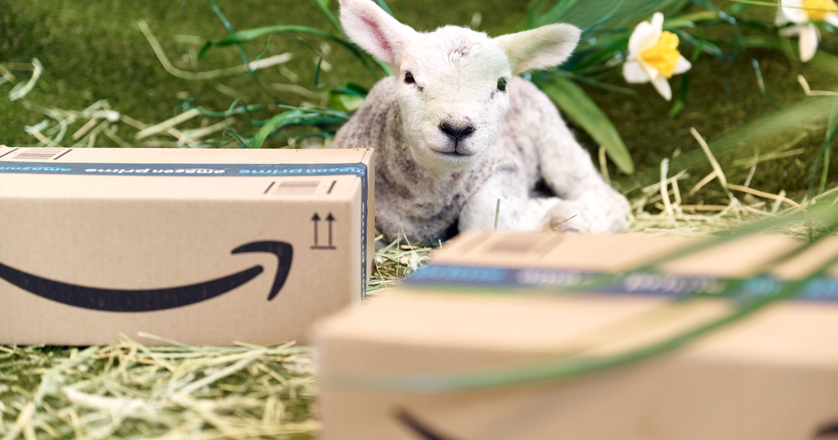 Amazon Spring Deal Days 2024: the best PC gaming deals, day 6 | Rock ...