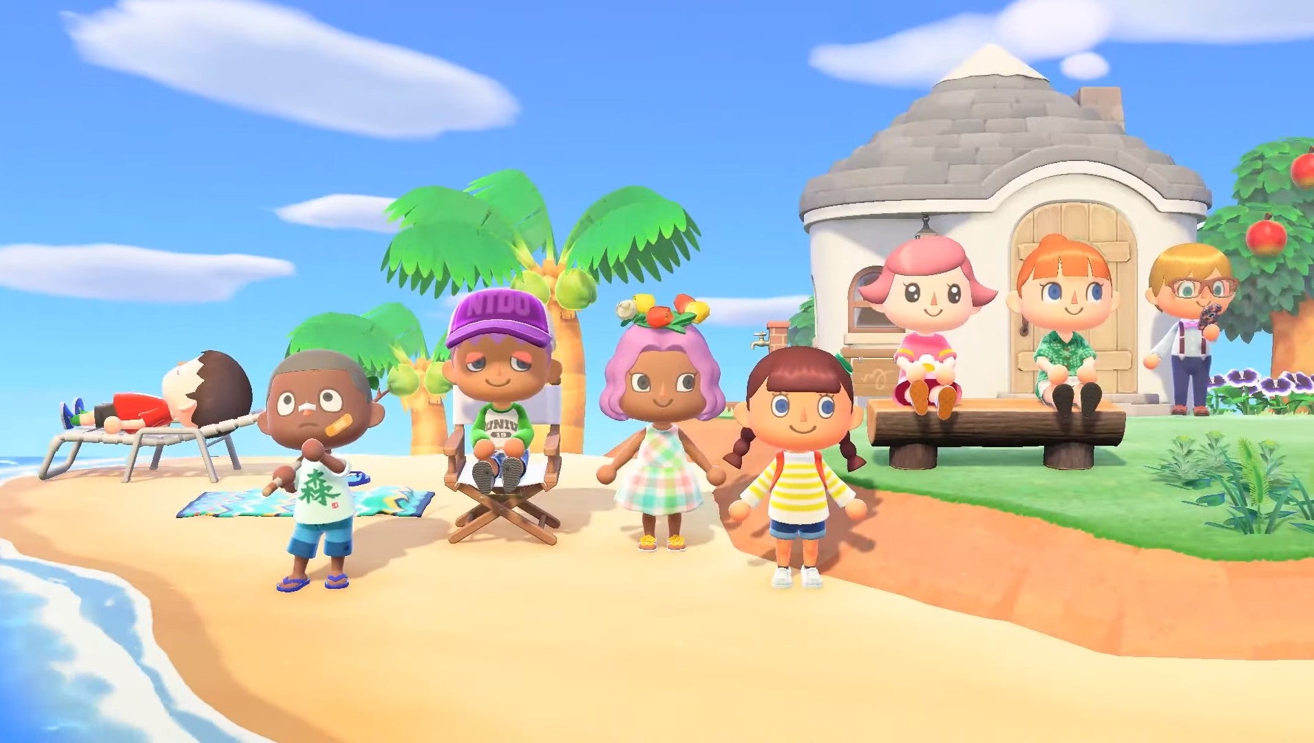 Animal crossing co op hot sale switch