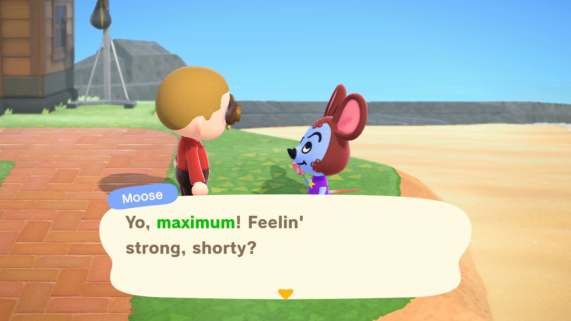 Animal Crossing New Horizons How to Change Nicknames VG247