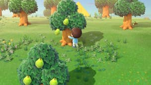 Animal Crossing New Horizons: How to Plant Flowers and Trees