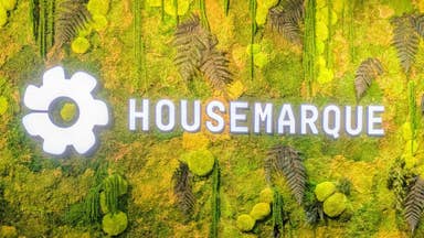 As you enter Housemarque's studio in Helsinki, you will see the studio's name and logo against a leafy backdrop behind the front desk
