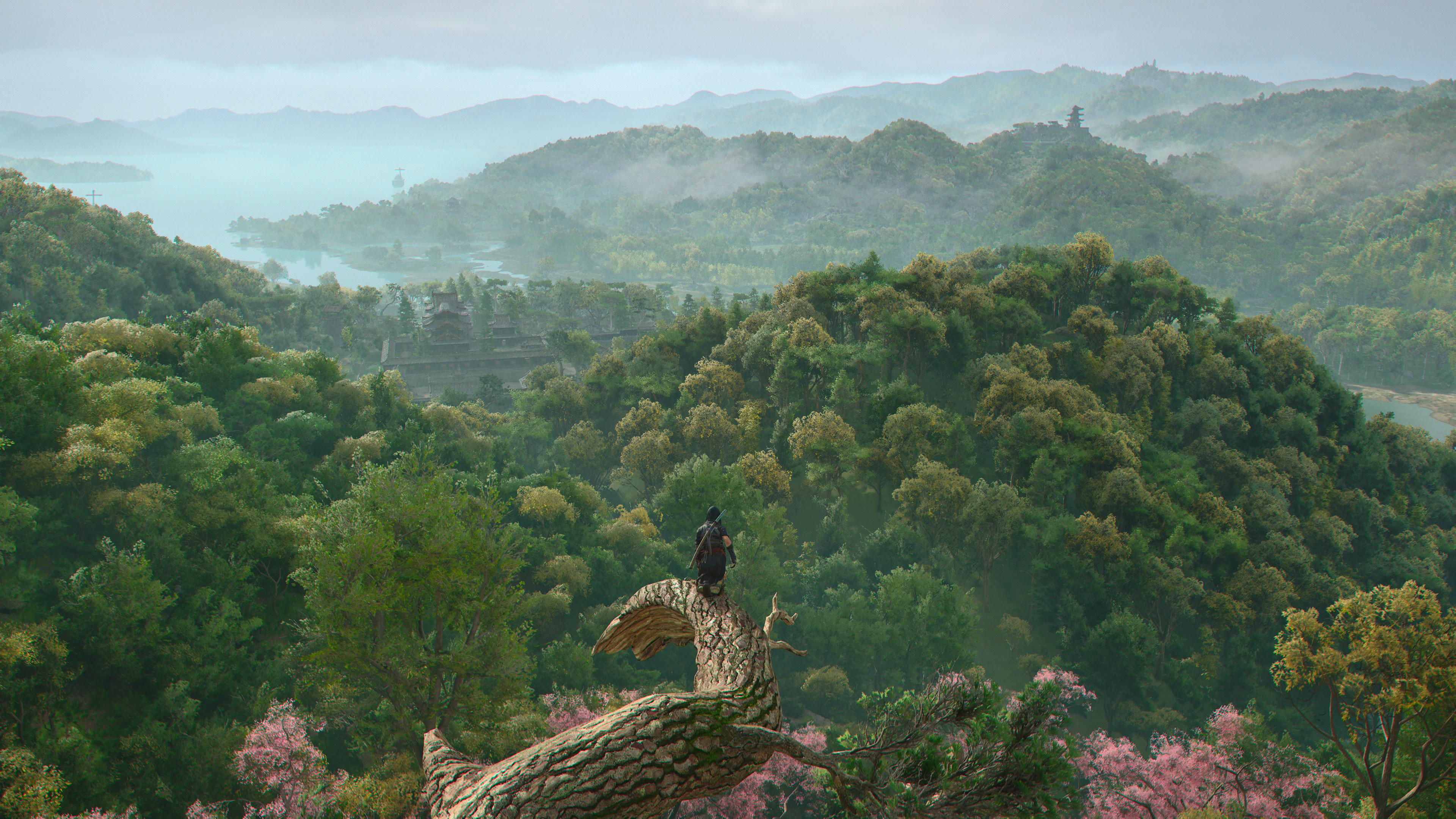AC Shadows screenshot showing Naoe perched on a large tree branch overlooking endless hills of trees