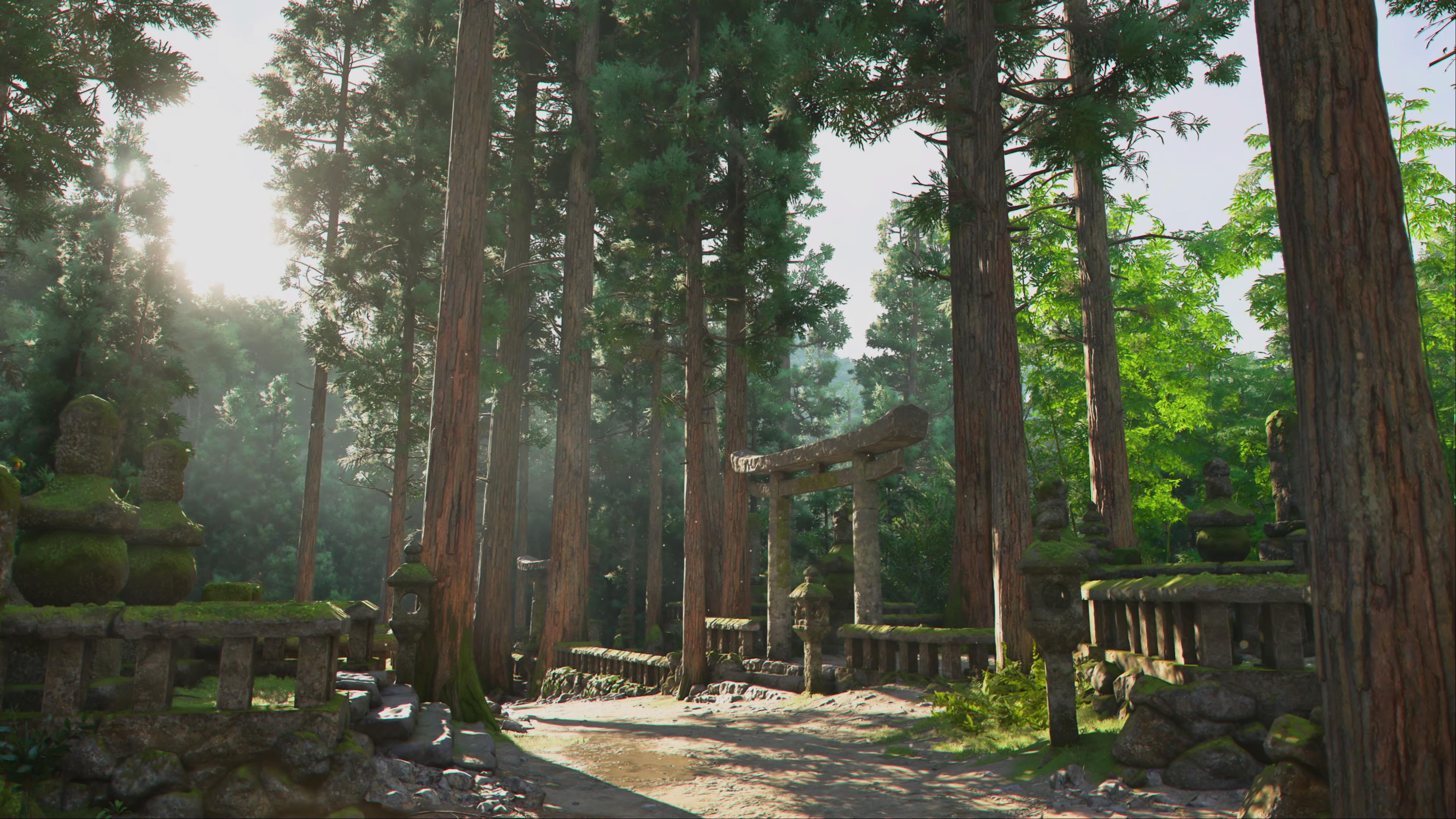 AC Shadows screenshot showing a beutiful view of tranquil summer forest