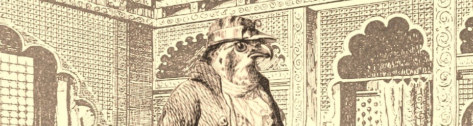 Aviary Attorney PC Review: Fowl Play