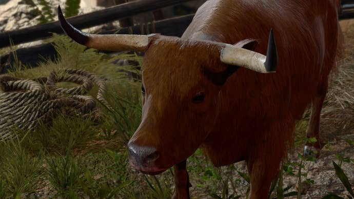 Baldur’s Gate 3 image showing a close-up of a cow.