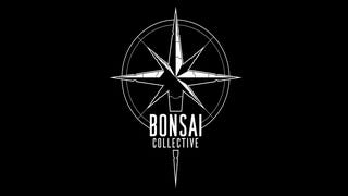 Publisher Super.com invests $3.5m into UK studio Bonsai Collective