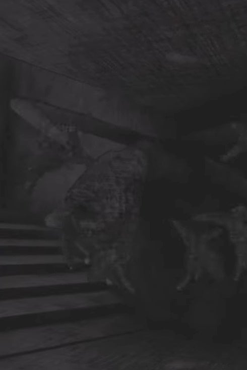 Wallo monster in Content Warning.