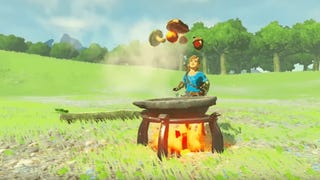 Cooking in Breath of the Wild.