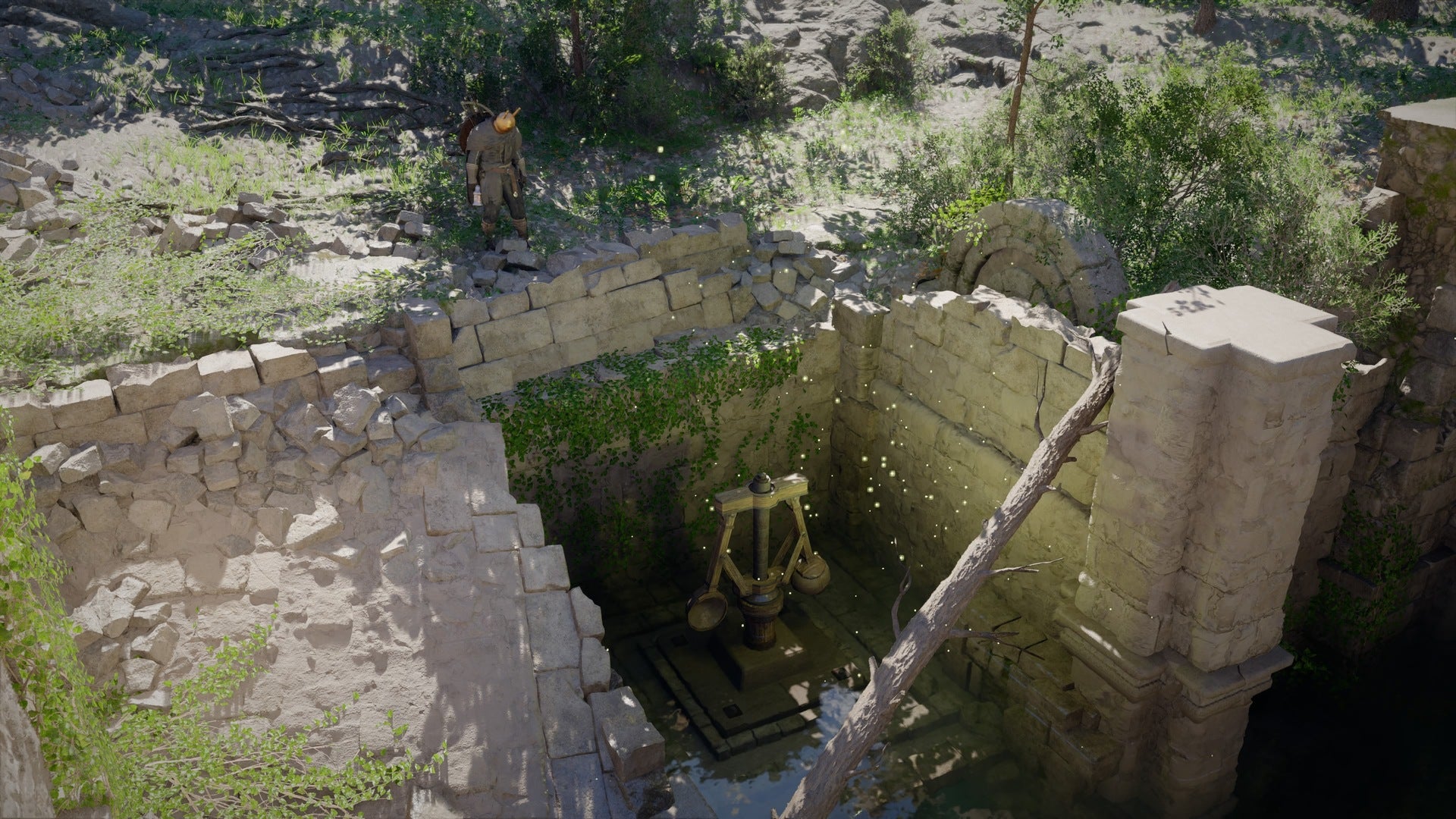 Crimson Desert Beardtree Gorge Ruins puzzle solution