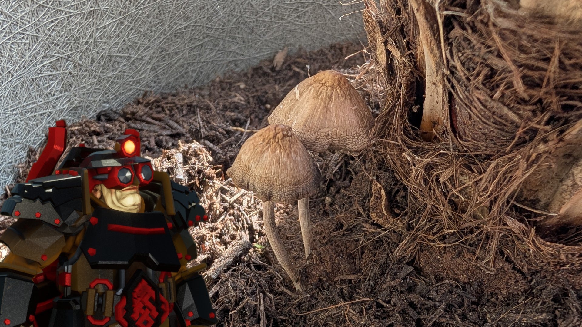 A badly photoshopped-in Deep Rock Galactic Driller eyes up the mushrooms in my IRL pot plant. - 1