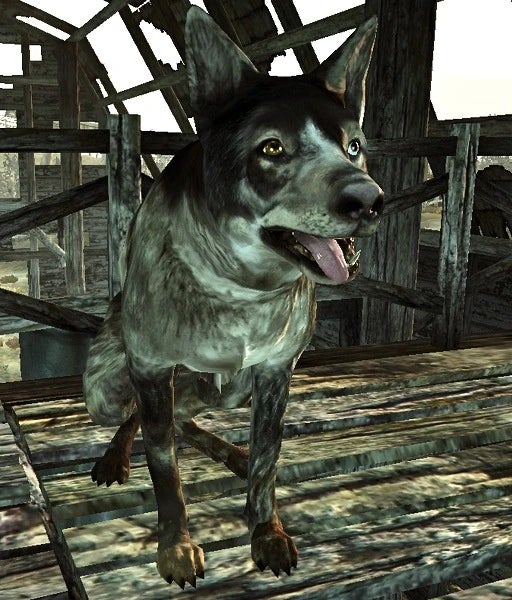 Dogmeat in Fallout 3. - 4