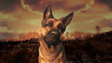 Dogmeat in Fallout 4, looking cutely at the camera with a nuclear detonation behind him.