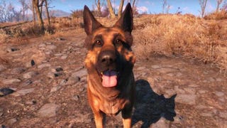 Xbox and Bethesda donate $10,000 to charity in honor of Fallout's dog