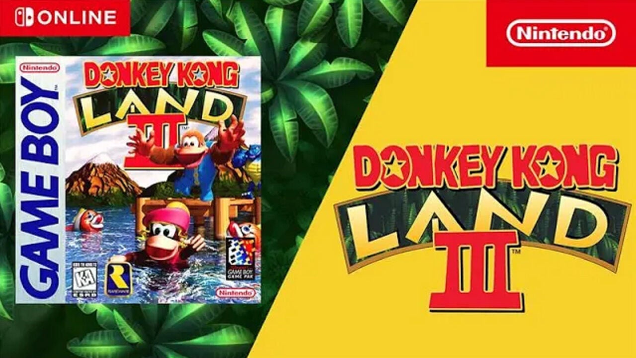 Donkey Kong Land 3