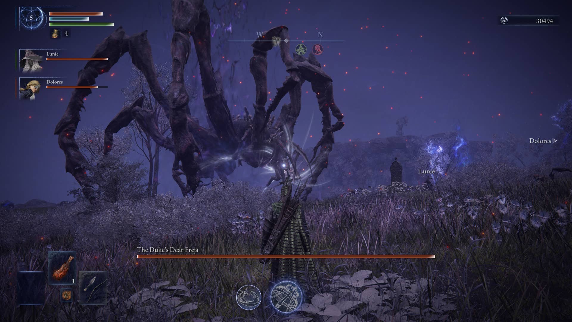 Elden Ring Nightreign screenshot showing player facing a giant spider called Freja
