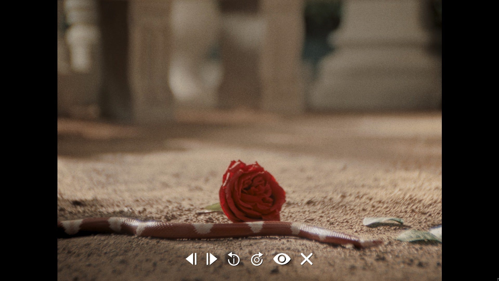 Immortalities Roses Immortality images, how to find every clip in Immortality | Eurogamer.net