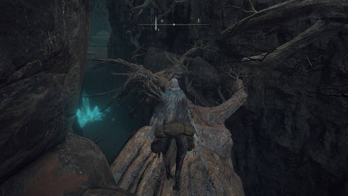 The player, atop Torrent, faces some tree branches that lead to the entrance of Caelid's Abandoned Cave in Elden Ring
