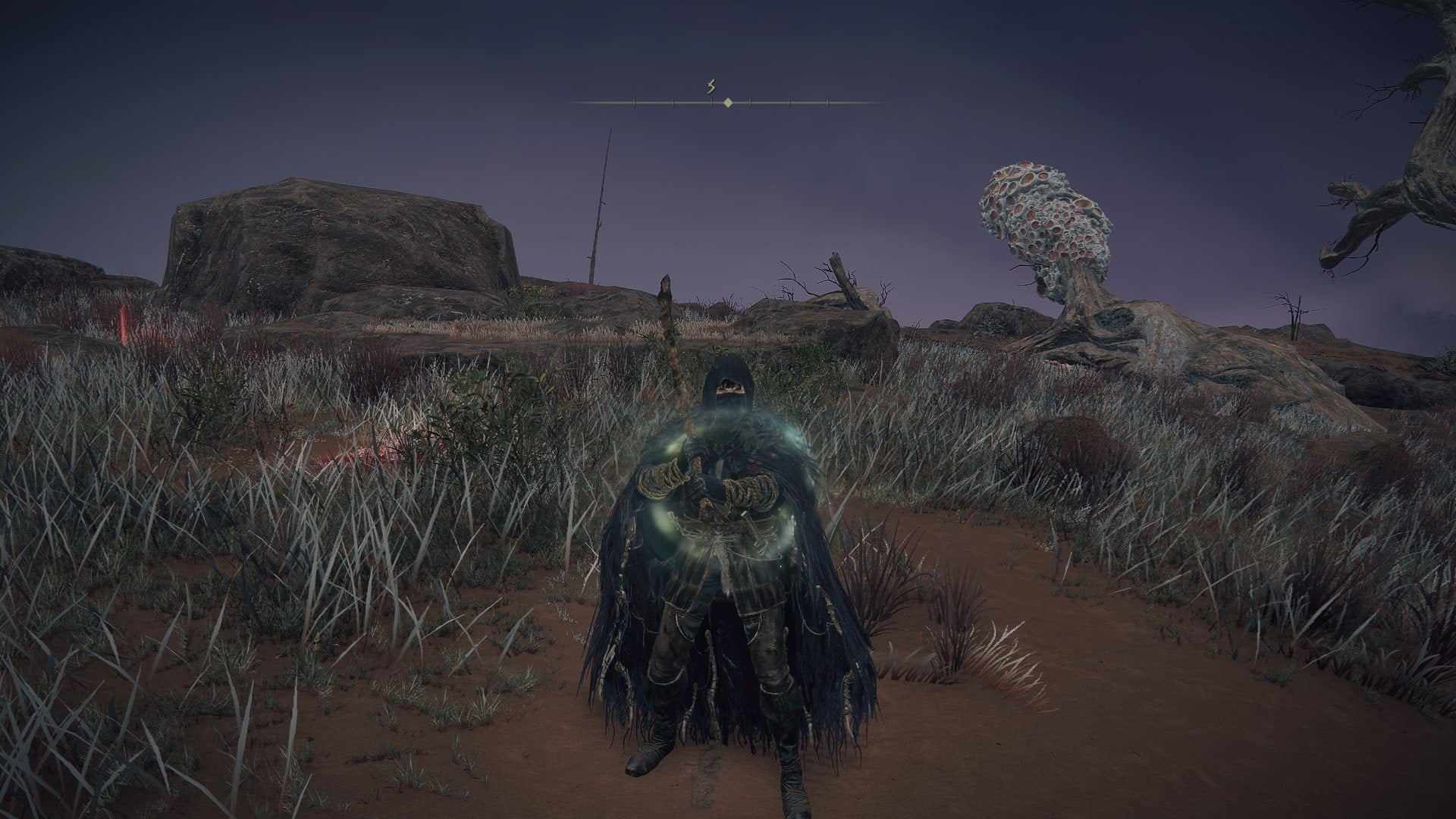 The player stands in south Caelid wielding the Death&rsquo;s Poker weapon in Elden Ring