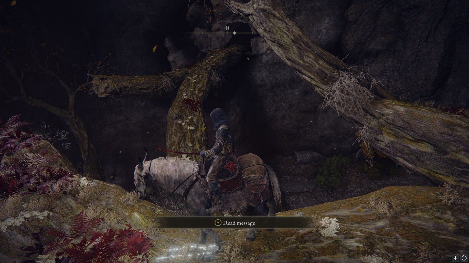 The player stands on some branches and faces the entrance to a cave in Deeproot Depths in Elden Ring - 4